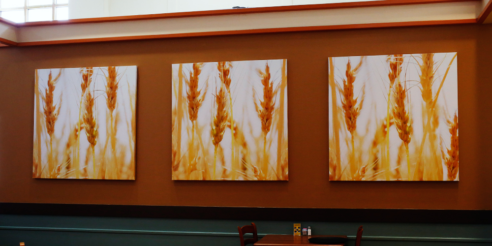 Cafeteria | Davenport, IA