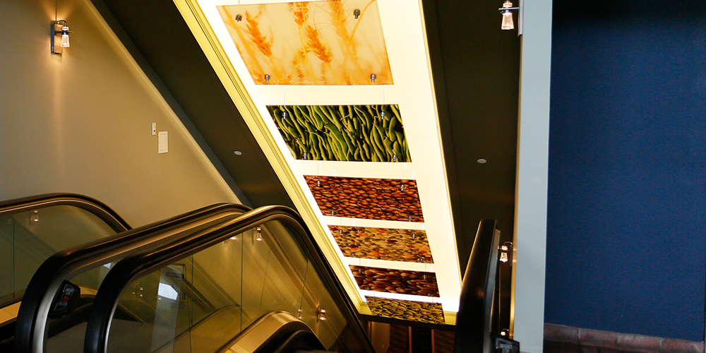 Escalator Overhanging | Vicksburg, MS