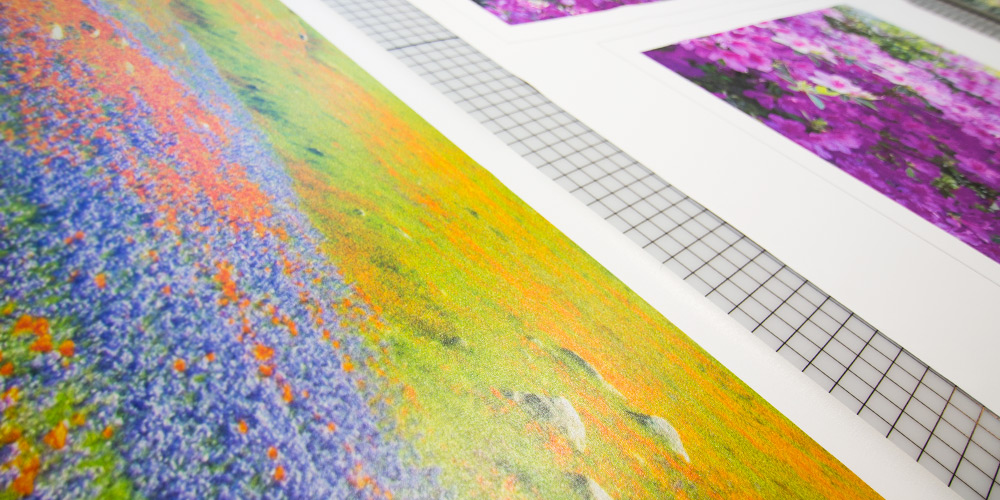 We'll produce a hard proof of your original and discuss printing options with you.